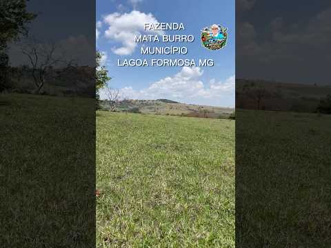 Fazenda mata-burro e a natureza,Município de lagoa formosa Minas Gerais.
