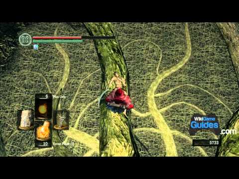 Dark Souls Walkthrough - The Great Hollow & To Ash Lake (Part 054) | WikiGameGuides