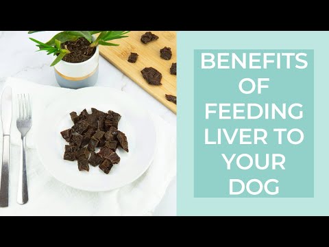 Benefits of Feeding Liver to Dogs