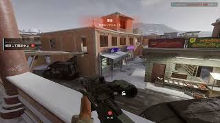 InsurgencySandstorm AUGプレイ