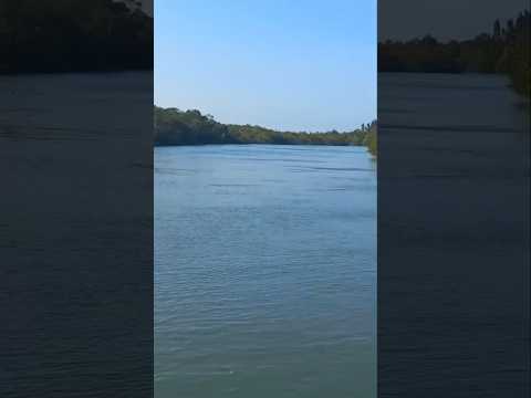 🔴 Onde Pegar Caranguejo em Jericoacoara? Conheça os Manguezais do Ceará