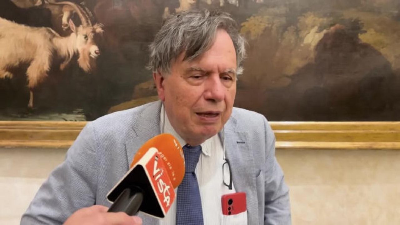 Parisi: Legge delega sul nucleare incostituzionale, dà troppi poteri al Governo