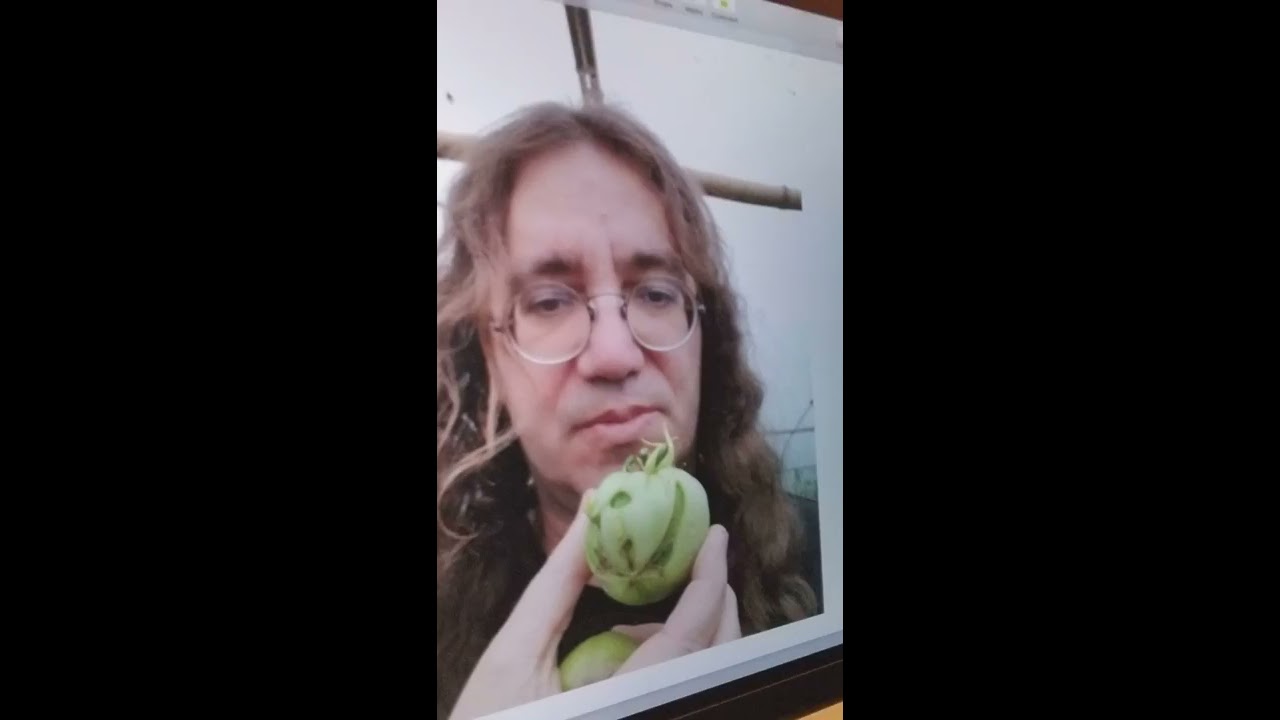 Machine Learning for Plant Disease Diagnosis and Prediction