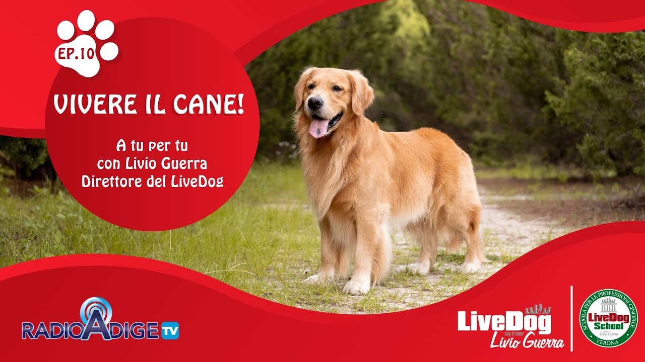 Descrizione dell'immagine