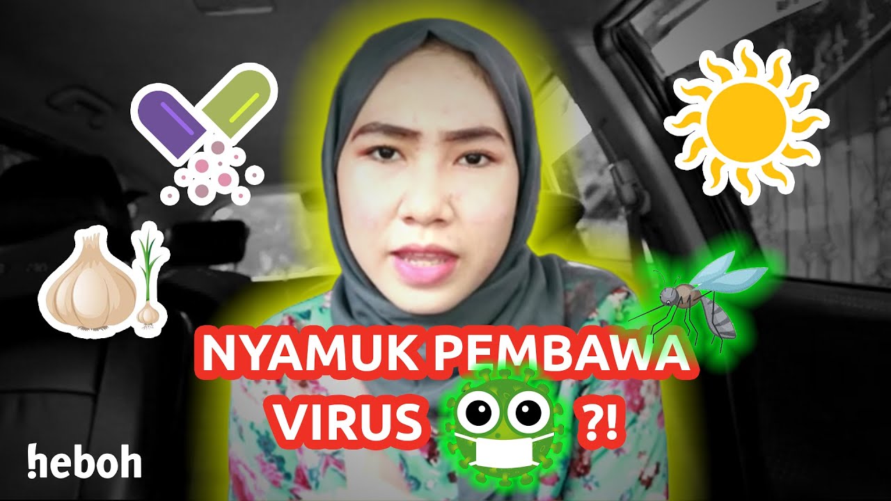 NAITU : Hati-hati HOAX!  Mitos dan Fakta Virus Jahat