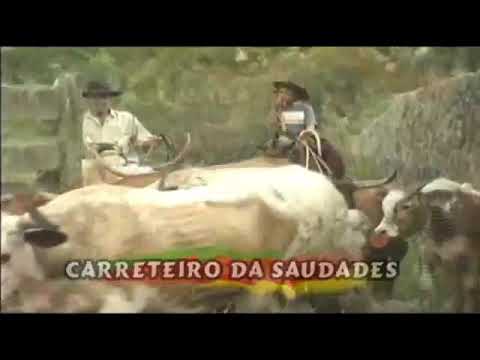 Carreteiro Da Saudade - Ivan taborda