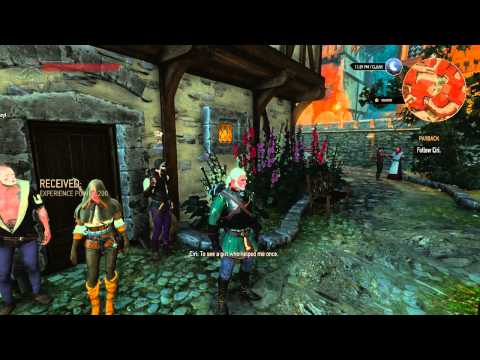 The Witcher 3 Wild Hunt Playthrough - Part 137: Payback