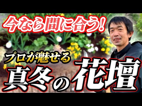 冬の美しい庭を作る、凍らない屋外植物10選  庭園