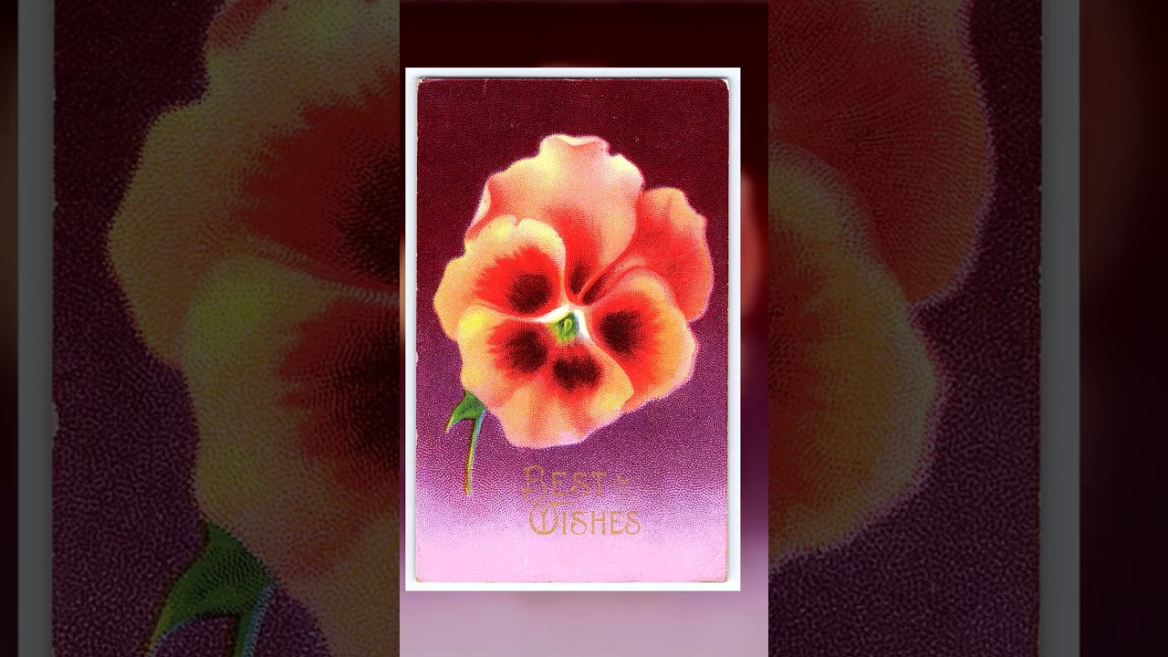 Best Wishes Floral Linen Postcard, Kansas, 1915 Postmark Video