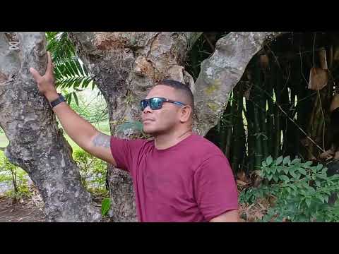 Savu Ni Delai Lomai - Ka Ni Drama Wale Ga(Official Video)