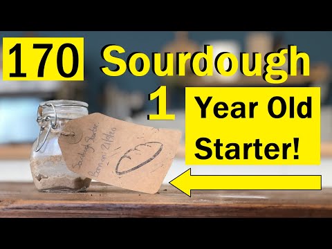 170: Can you bring a ONE YEAR OLD Sourdough Starter Back to Life? - Bake with Jack