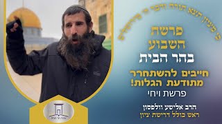 חייבים להשתחרר מתודעת הגלות! • פרשת ויחי | הרב אלישע וולפסון (ישיבת הר הבית) - התמונה מוצגת ישירות מתוך אתר האינטרנט יוטיוב. זכויות היוצרים בתמונה שייכות ליוצרה. קישור קרדיט למקור התוכן נמצא בתוך דף הסרטון