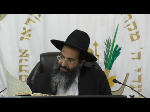 הלכות כיבוד אב ואם - ב' - כבוד ומורא | יורה דעה - סימן רמ | חלק 249 | הרב שי עובד