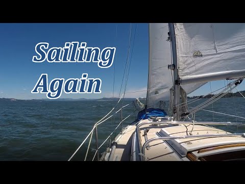 Sailing Again Brings a Change of Attitude - Voyage Dreams 77