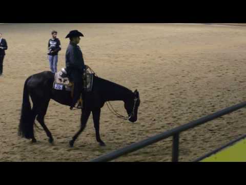 SR WESTERN PLEASURE IAF 6866