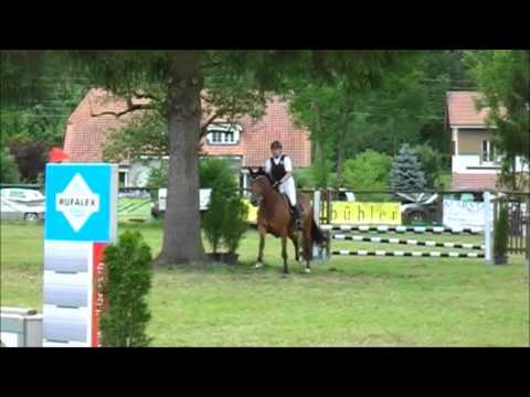 Saloniki Du Thôt, ZKV Green-Jump Utzenstorf, 15.07.2012, 1. Umgang