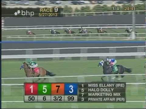 The 47th Running of The Gamely Stakes (GI) - $250,000 Guaranteed