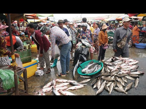Morning Fish Market Scene @9 Kilometers - Plenty Alive Fish, Rural Fish, Seafood & More Selling Here