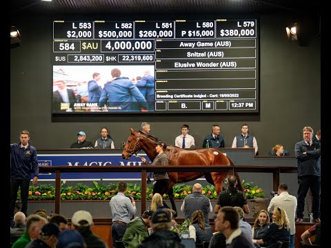 2022 Magic Millions GC National Broodmare Sale - Lot 584