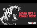 Learning Like a Jungle Tiger