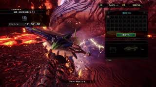 下手の物好き　MHWIやります