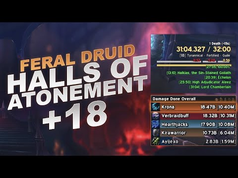 Feral Druid in a Rank 1 Key!? | TWW Season 3 M+ Feral Druid