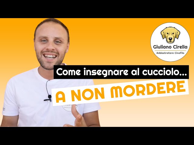 Videouttalande av Giuliano Italienska