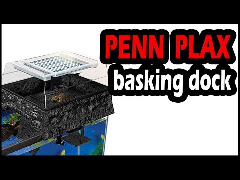 Penn Plax Turtle Topper: Best Above Tank Basking Platform?