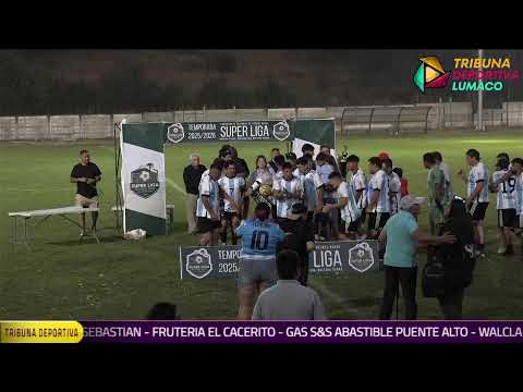 CAMPEONATO REGIONAL DE FUTBOL RURAL, ARAUCANIA 2026 - FINALES REGIONALES