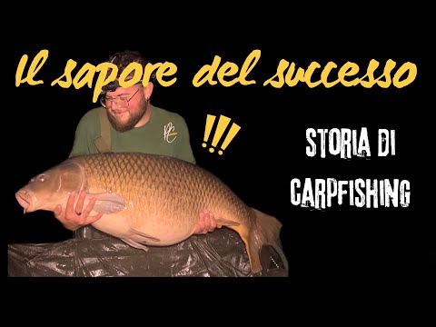 ℂ.𝔻.𝔸-𝔹𝔸𝕀𝕋𝕊 and Passion Carp Fishing TV