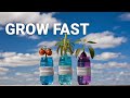 A Cheap and Easy Way To Grow Seeds with Water Bottles