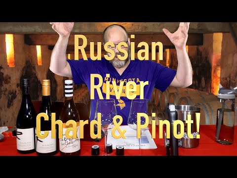 Review - Ron Rubin Trio - Episode #530