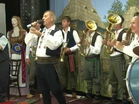 Radojko Vitezovic - Zlatibore pitaj Taru (Uzivo)