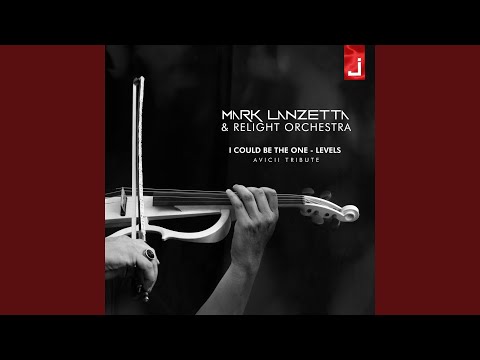 I Could Be the One / Levels