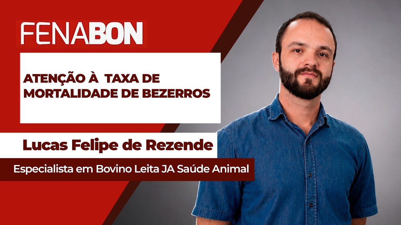 Taxas de mortalidade dos bezerros acima de 5% na pecuária de leite precisam ser investigadas