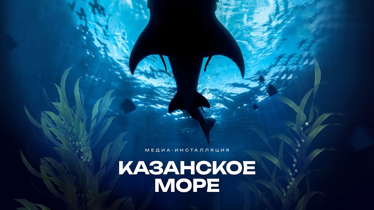 Музей естественной истории Татарстана в г. Казань. Видео