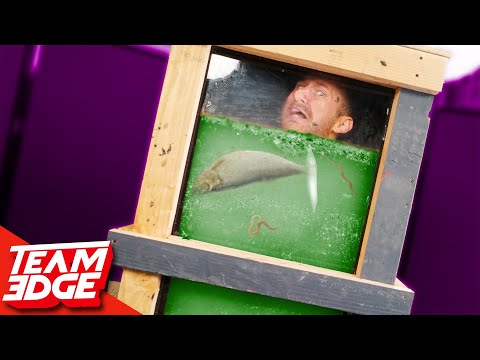 Survive the Disgusting Box! | Swimming in Gross Punishments!! Video