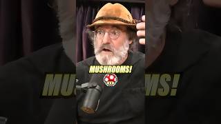 STOP STUTTERING in 1 Simple Step - Paul Stamets Mushroom Trip