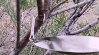 Титановые разжимные кольца для рыбалки