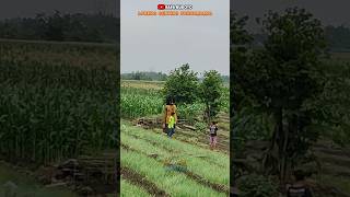 Download lagu di kejar sampai sawah #shorts #dawangan #farelprayoga mp3 Download lagu di kejar sampai sawah #shorts #dawangan #farelprayoga mp3