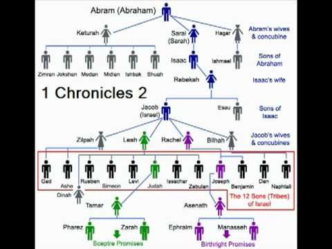 1 Chronicles 2 (with text - press on more info. of video on the side)