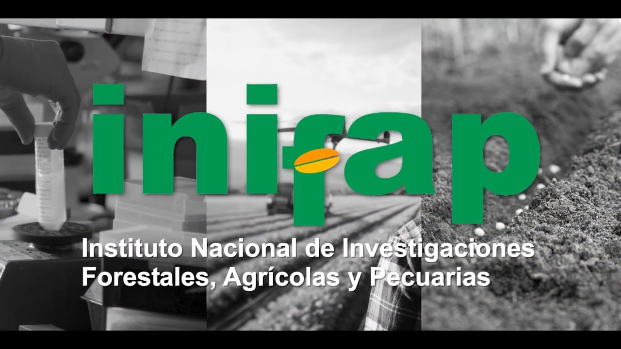 ¿Conoces qué es el INIFAP?