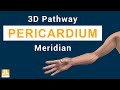 Pericardium Meridian - 3D pathway from point to point
