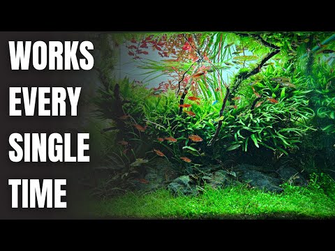 MY SIMPLE RECIPE FOR A BEAUTIFUL PLANTED TANK (Copy My Methods)