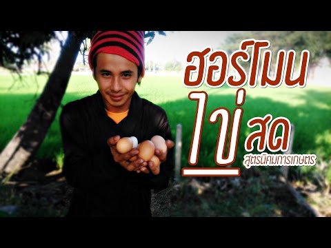 โรคสะเก็ดเงินเป็นสัญญาณของปรสิต วิธีการระบุโรคสะเก็ดเงิน