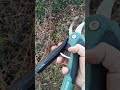 Domaine Benjamin Passot Présentation Part 2 Sécateur Bosch Easy Prune Easyprune