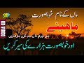 Man Da Ladla ! Nazar Hussain Awan | Hindko mahiye ! Latest hazara Songs | Mahiye