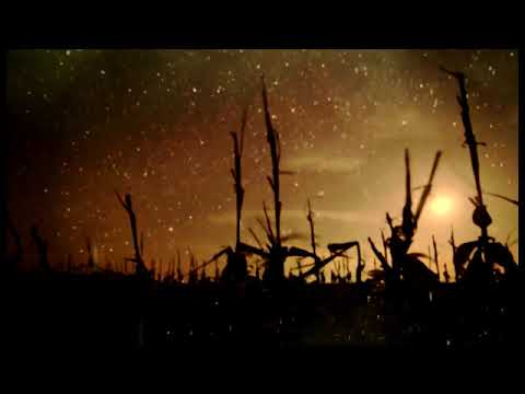 TS RIngišpil & Željko Samardžić - Jesenja balada (Official video)