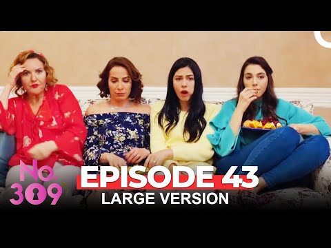 No. 309 Episode 43 (Large Version)