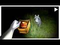 Feeding Slop to Creatures of the Night DEFAULT Thumbnail